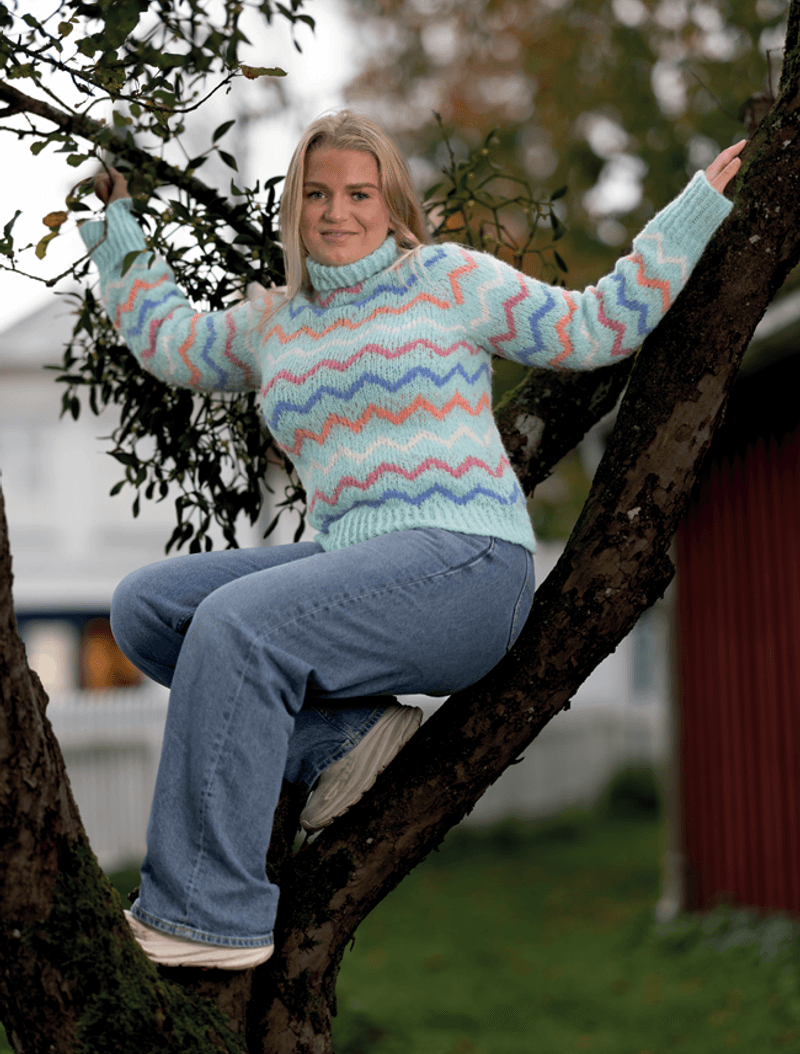 Ziggi genser. Garnpakke